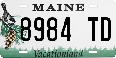 ME license plate 8984TD