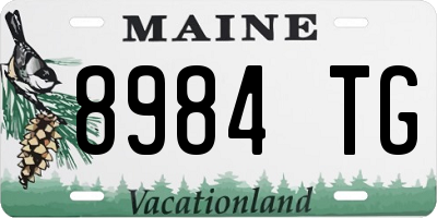 ME license plate 8984TG