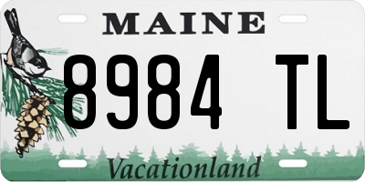 ME license plate 8984TL