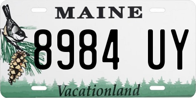 ME license plate 8984UY