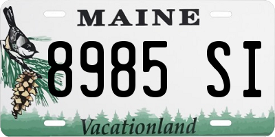 ME license plate 8985SI