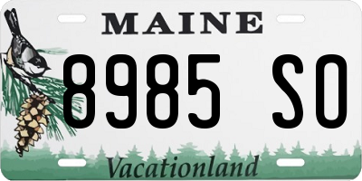 ME license plate 8985SO