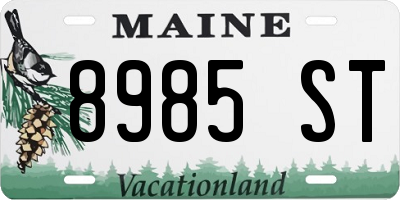 ME license plate 8985ST