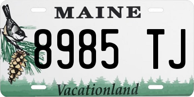 ME license plate 8985TJ