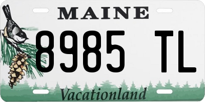 ME license plate 8985TL