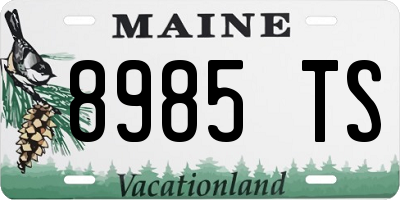ME license plate 8985TS