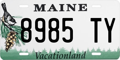 ME license plate 8985TY