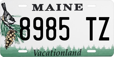ME license plate 8985TZ