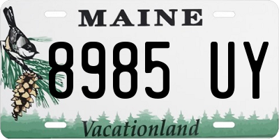 ME license plate 8985UY