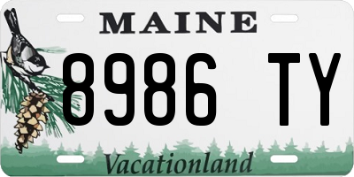 ME license plate 8986TY