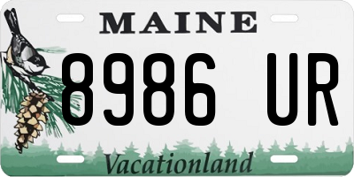 ME license plate 8986UR