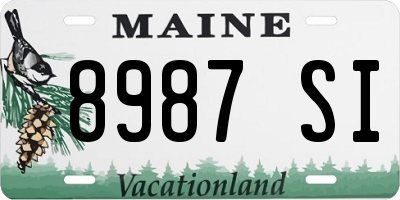 ME license plate 8987SI