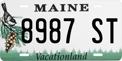 ME license plate 8987ST