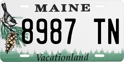ME license plate 8987TN