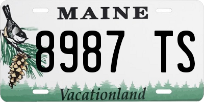 ME license plate 8987TS