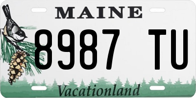 ME license plate 8987TU