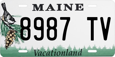ME license plate 8987TV