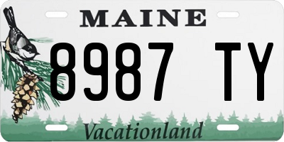 ME license plate 8987TY