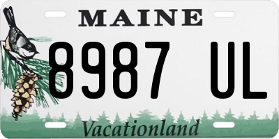 ME license plate 8987UL