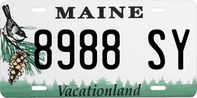 ME license plate 8988SY