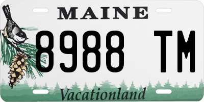 ME license plate 8988TM