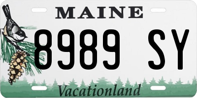ME license plate 8989SY