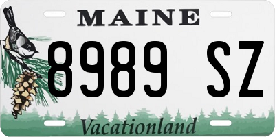 ME license plate 8989SZ