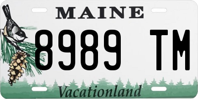 ME license plate 8989TM