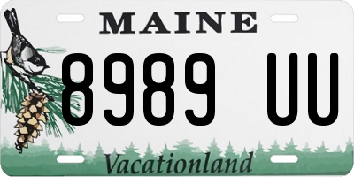 ME license plate 8989UU