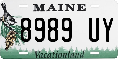 ME license plate 8989UY