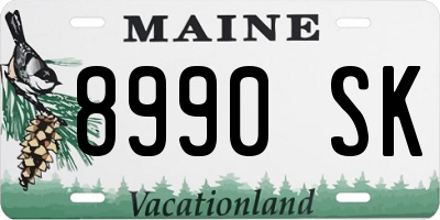 ME license plate 8990SK