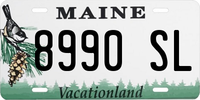 ME license plate 8990SL