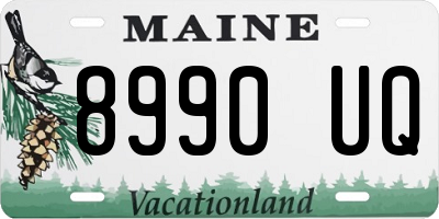 ME license plate 8990UQ