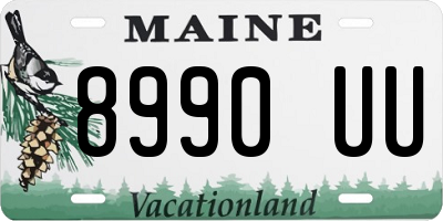 ME license plate 8990UU