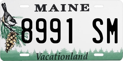 ME license plate 8991SM