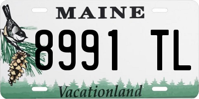 ME license plate 8991TL