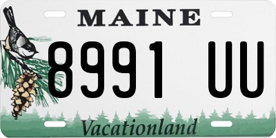 ME license plate 8991UU