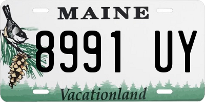 ME license plate 8991UY