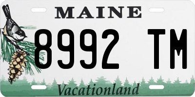 ME license plate 8992TM