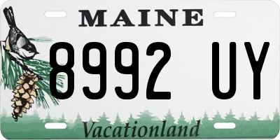 ME license plate 8992UY