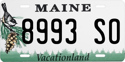 ME license plate 8993SO