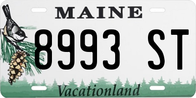 ME license plate 8993ST