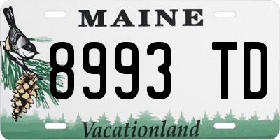 ME license plate 8993TD
