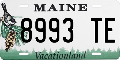ME license plate 8993TE