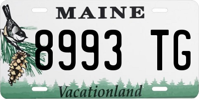 ME license plate 8993TG