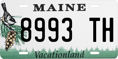 ME license plate 8993TH