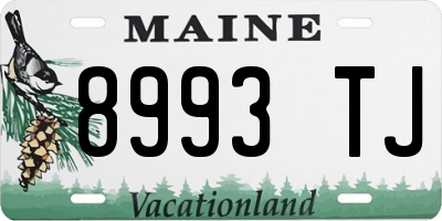 ME license plate 8993TJ