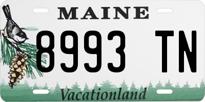 ME license plate 8993TN
