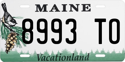 ME license plate 8993TO