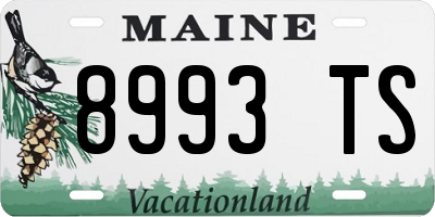 ME license plate 8993TS